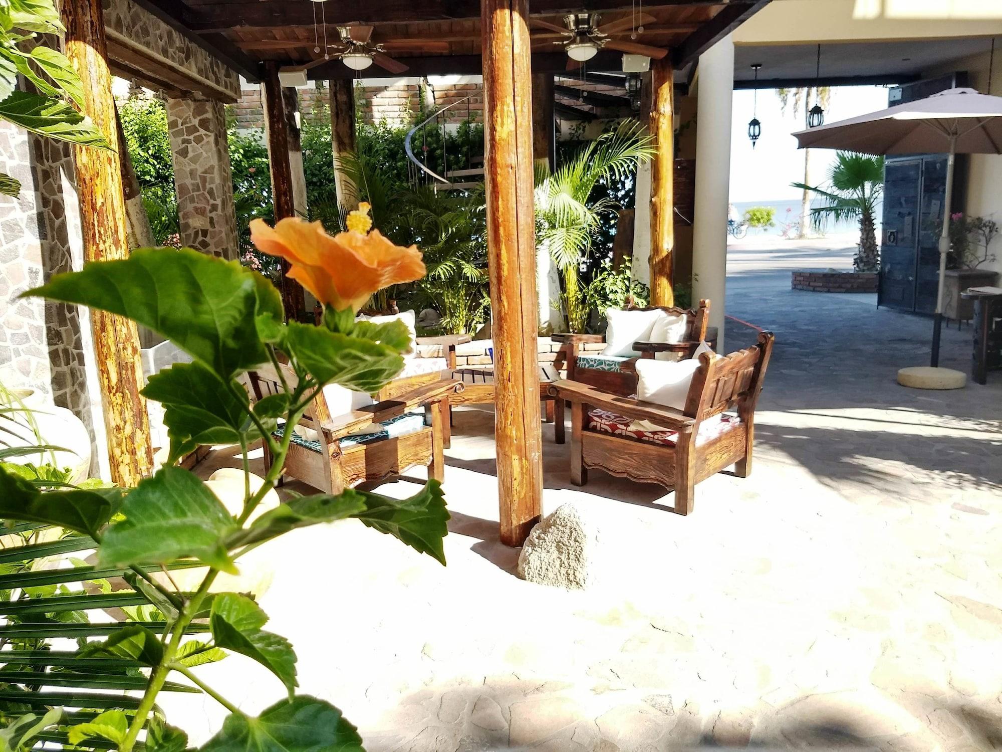 Posada De Las Flores La Paz Dış mekan fotoğraf