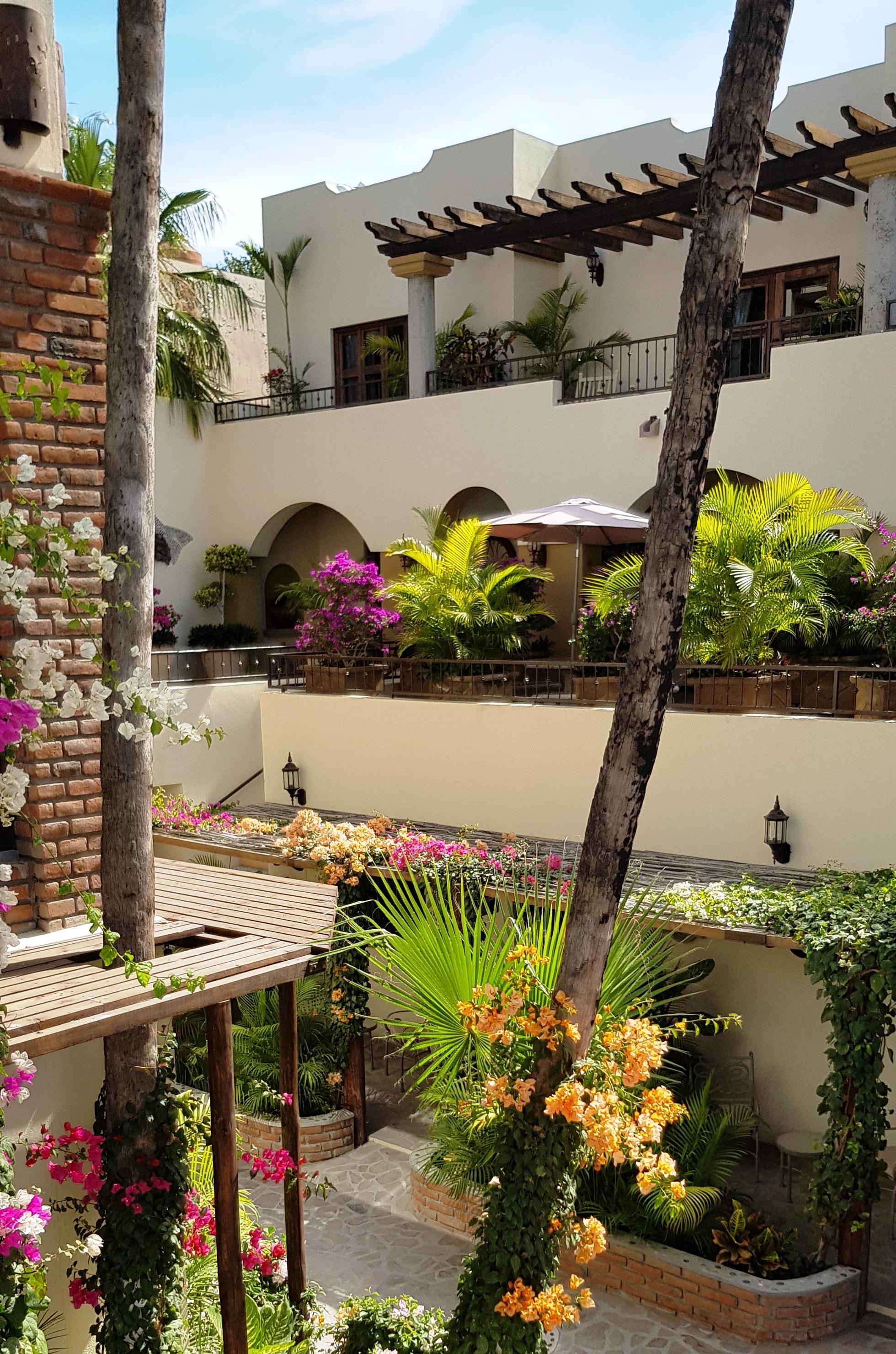 Posada De Las Flores La Paz Dış mekan fotoğraf