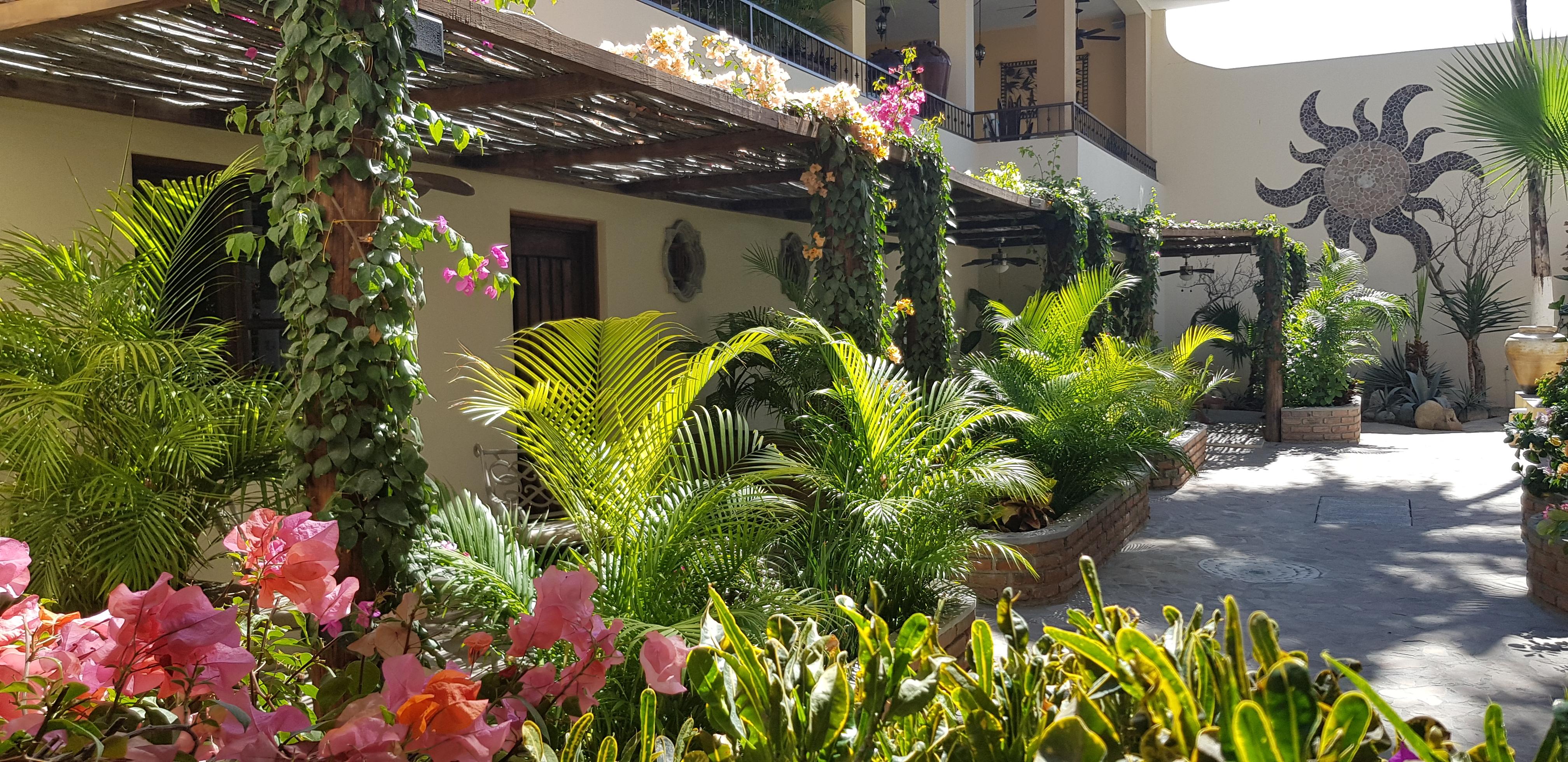Posada De Las Flores La Paz Dış mekan fotoğraf