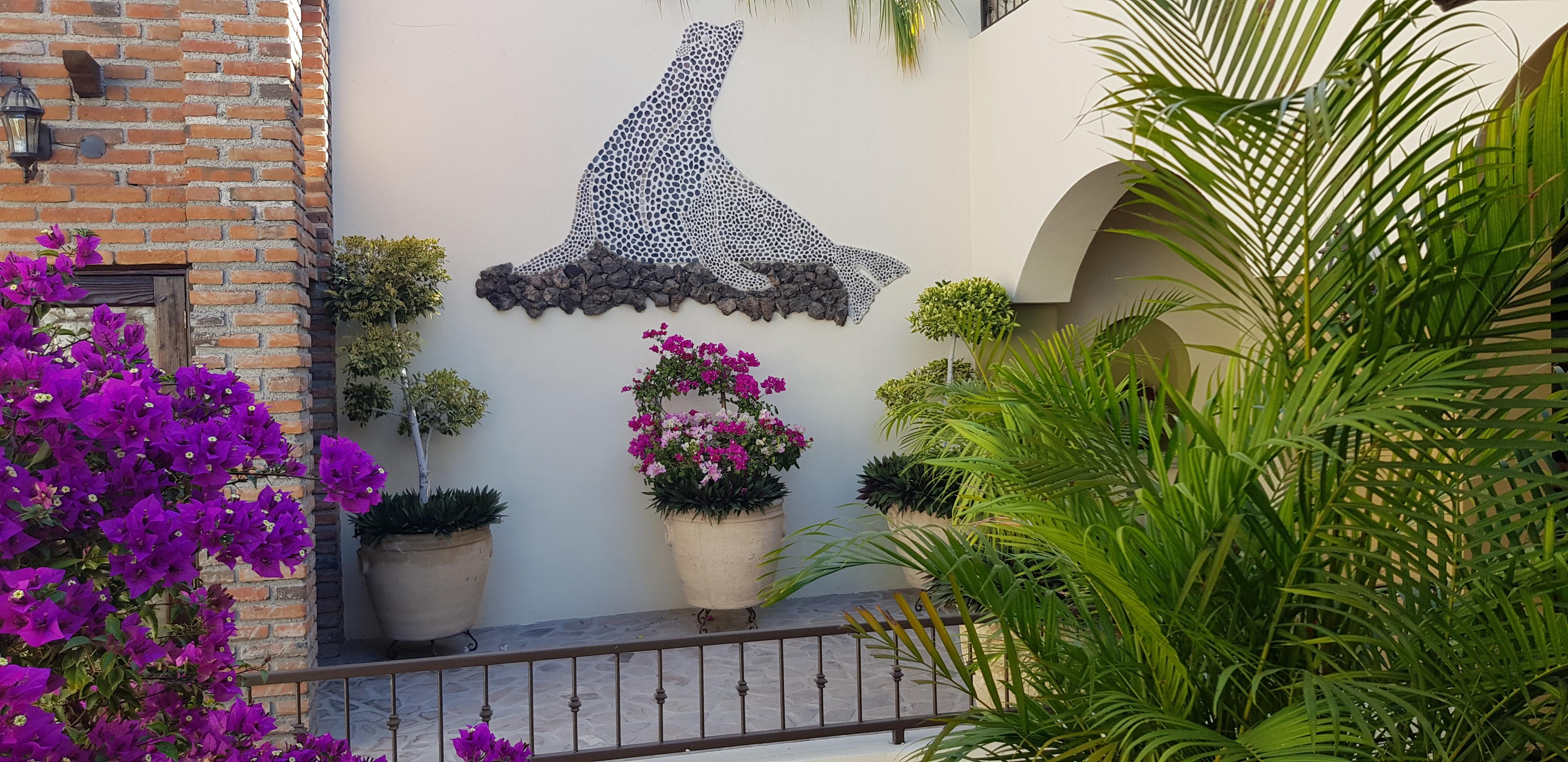 Posada De Las Flores La Paz Dış mekan fotoğraf